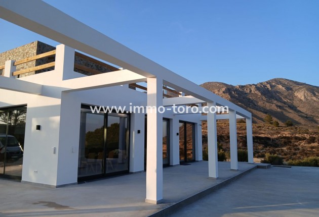 New Build - Villa - Pinoso - Casas Pastor