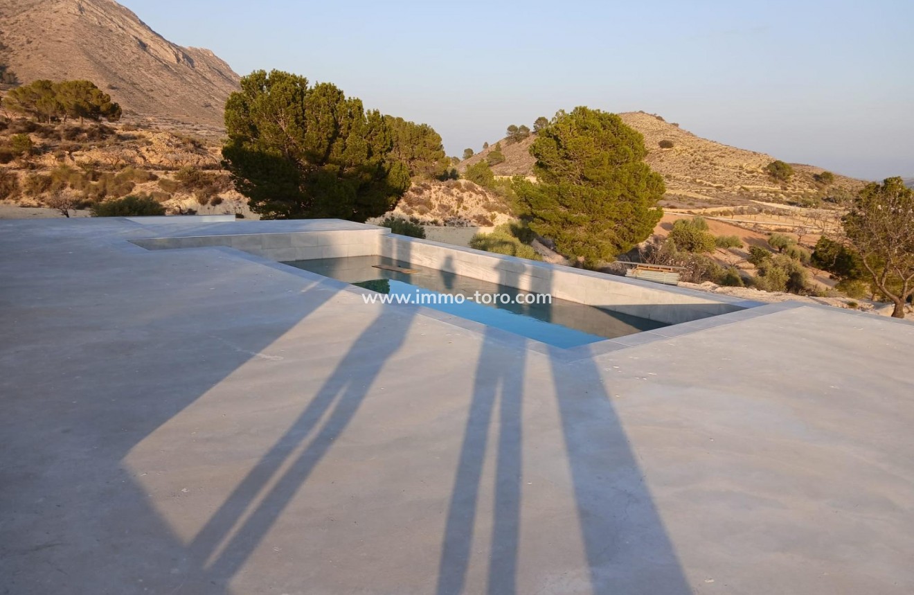 New Build - Villa - Pinoso - Casas Pastor