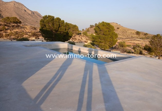 New Build - Villa - Pinoso - Casas Pastor