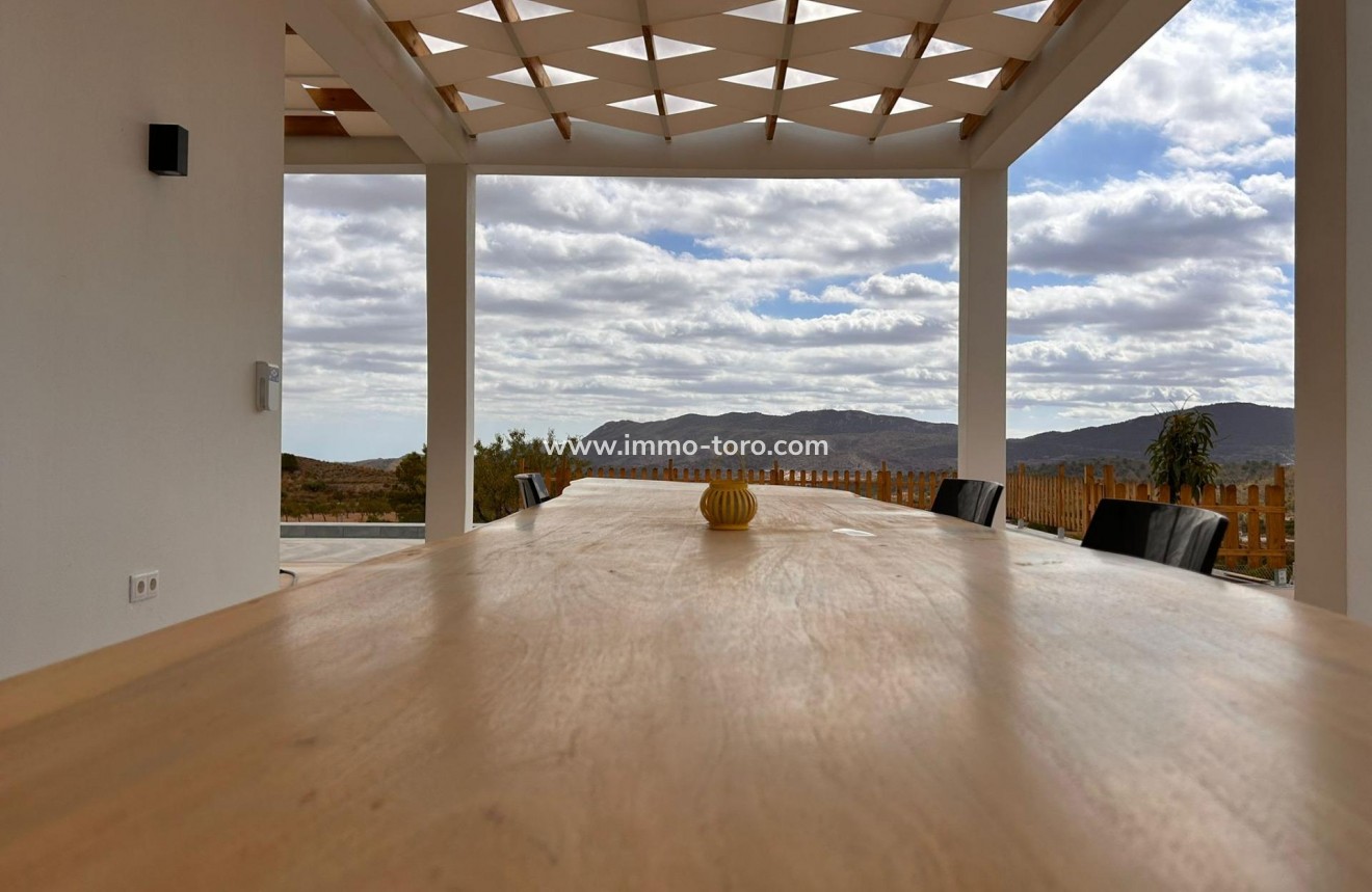 New Build - Villa - Pinoso - Casas Pastor
