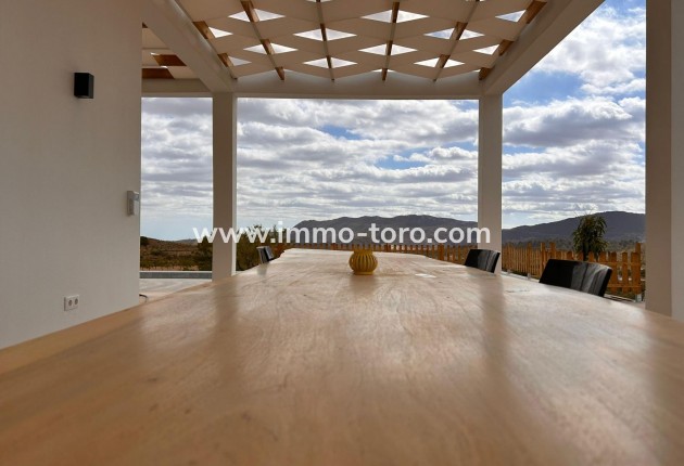 New Build - Villa - Pinoso - Casas Pastor