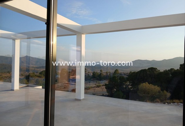 New Build - Villa - Pinoso - Casas Pastor