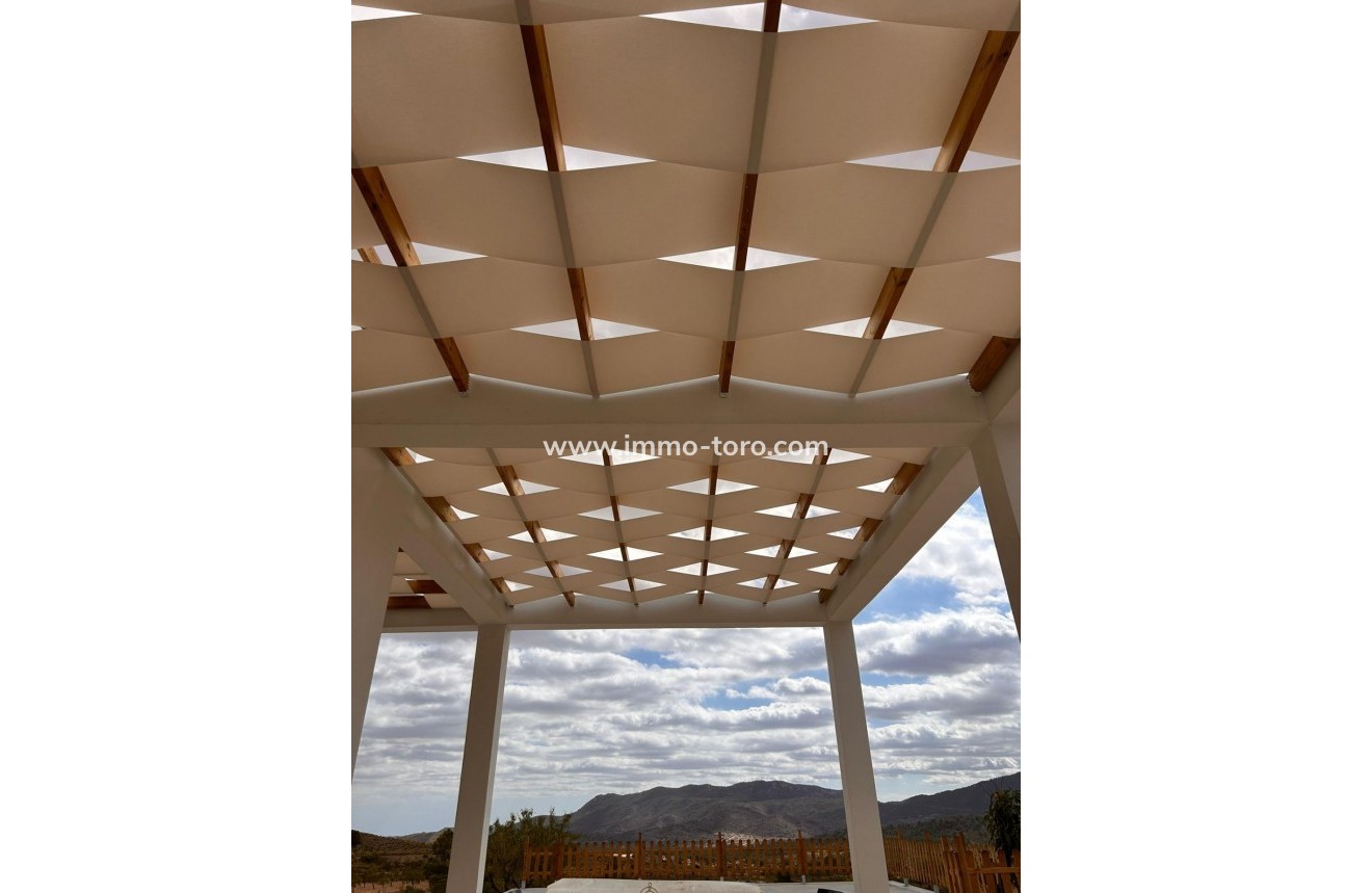 New Build - Villa - Pinoso - Casas Pastor
