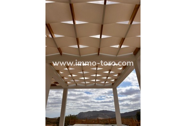 New Build - Villa - Pinoso - Casas Pastor
