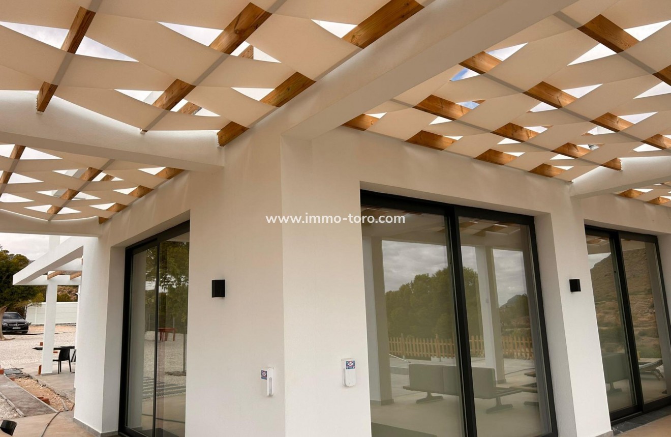 New Build - Villa - Pinoso - Casas Pastor