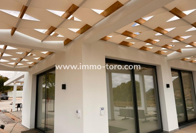 New Build - Villa - Pinoso - Casas Pastor