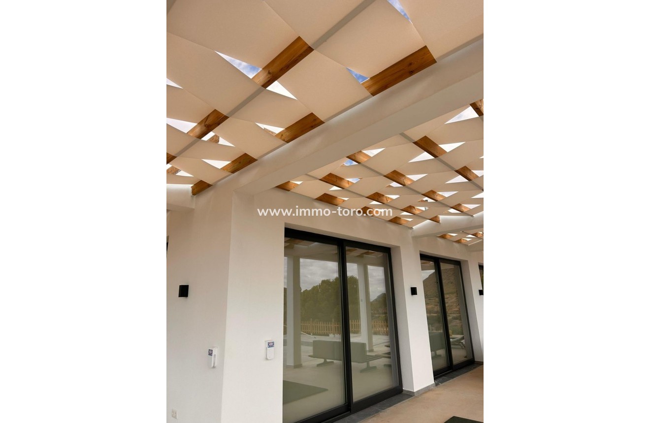New Build - Villa - Pinoso - Casas Pastor