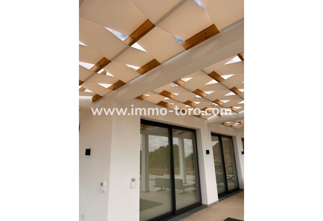 New Build - Villa - Pinoso - Casas Pastor