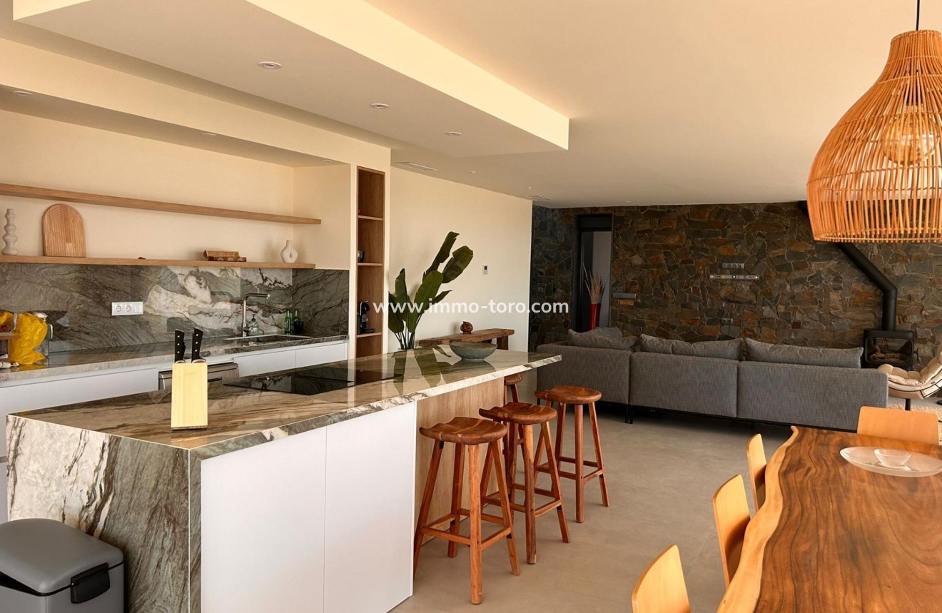 New Build - Villa - Pinoso - Casas Pastor