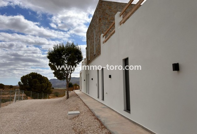 New Build - Villa - Pinoso - Casas Pastor