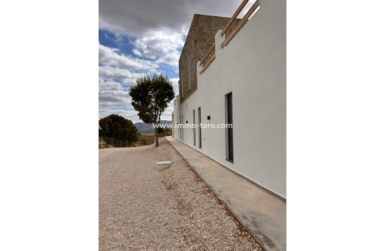 New Build - Villa - Pinoso - Casas Pastor