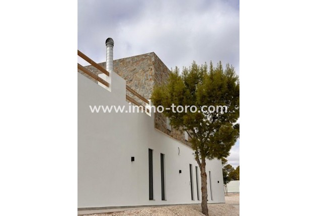 New Build - Villa - Pinoso - Casas Pastor