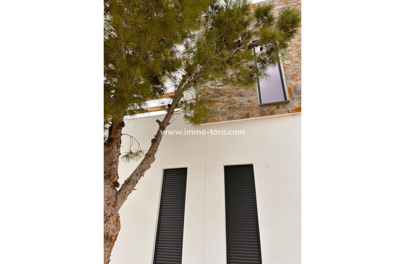 New Build - Villa - Pinoso - Casas Pastor