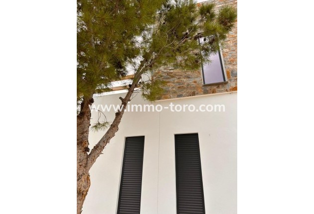 New Build - Villa - Pinoso - Casas Pastor
