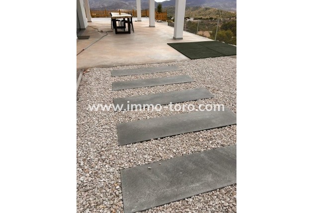 New Build - Villa - Pinoso - Casas Pastor