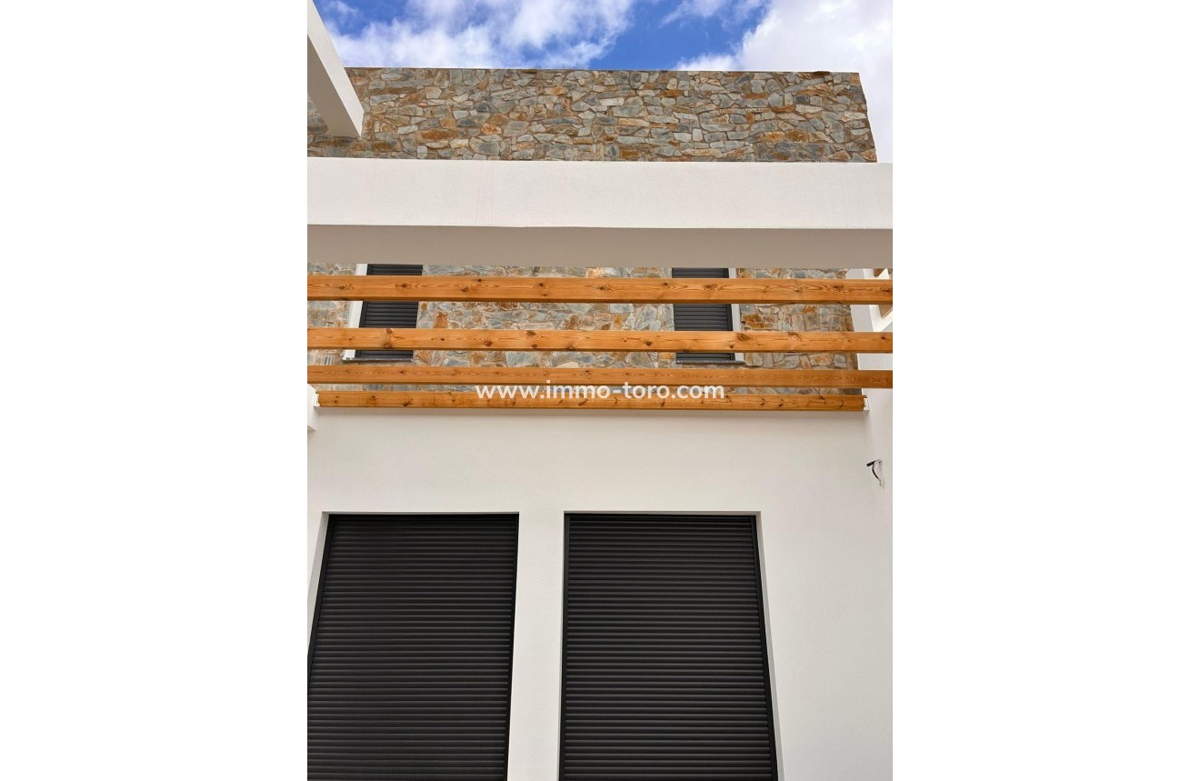 New Build - Villa - Pinoso - Casas Pastor