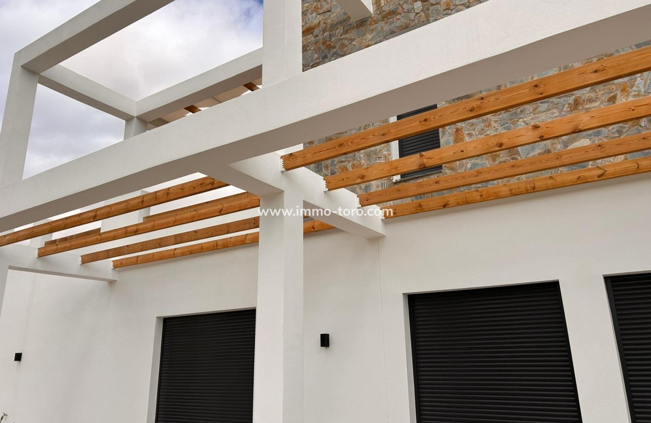 New Build - Villa - Pinoso - Casas Pastor