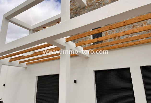 New Build - Villa - Pinoso - Casas Pastor
