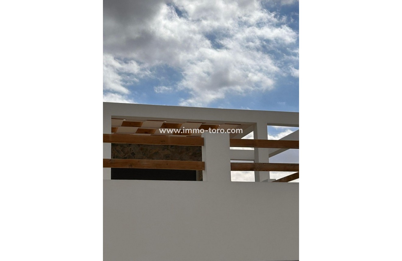 New Build - Villa - Pinoso - Casas Pastor