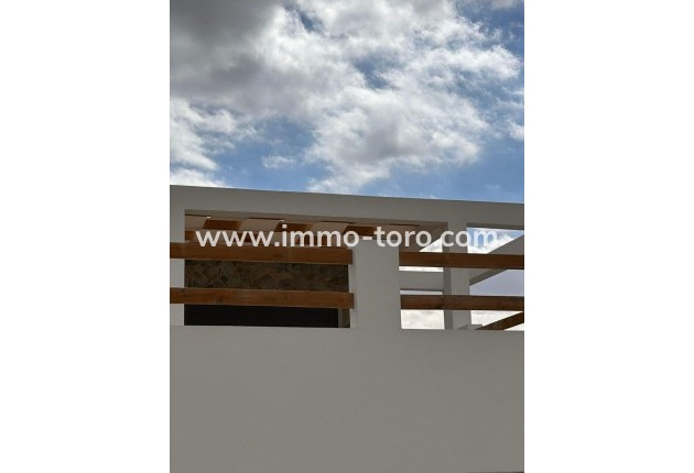 New Build - Villa - Pinoso - Casas Pastor