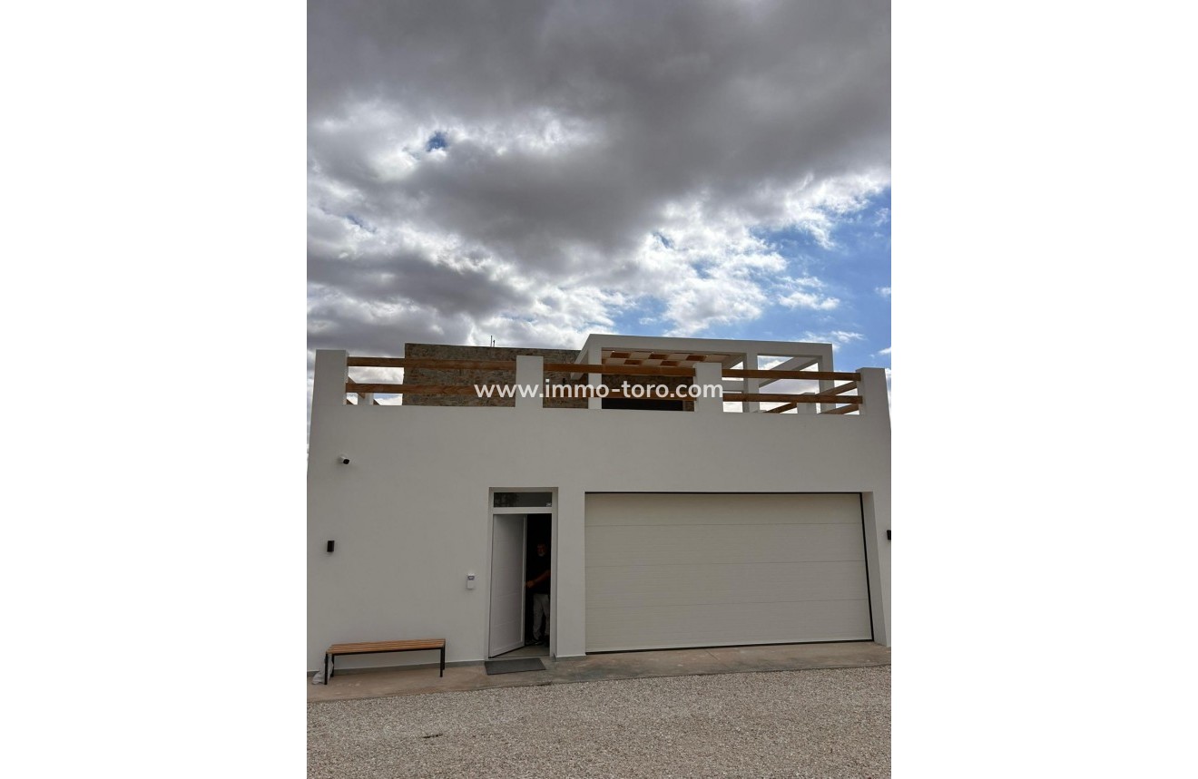 New Build - Villa - Pinoso - Casas Pastor