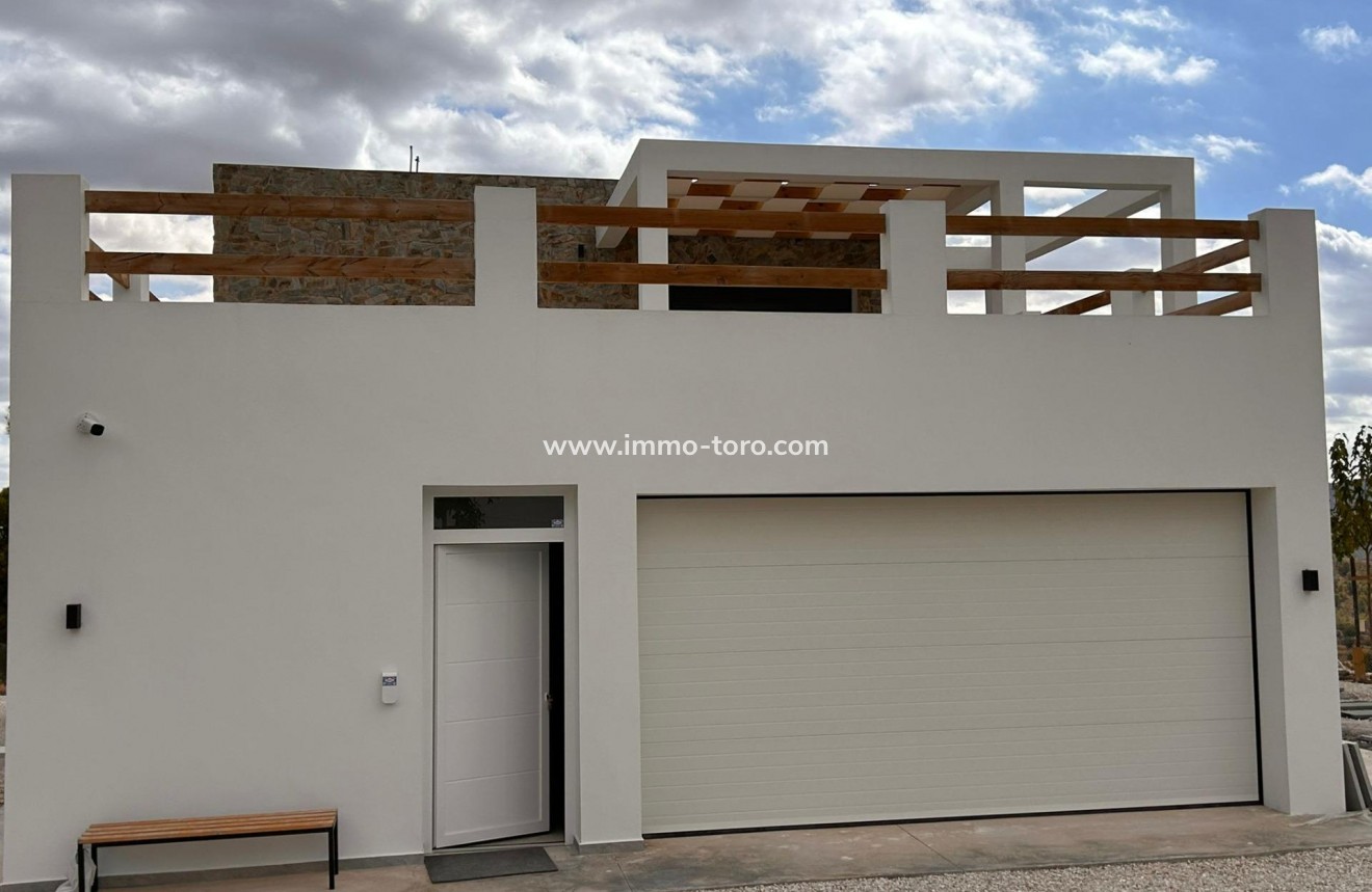 New Build - Villa - Pinoso - Casas Pastor
