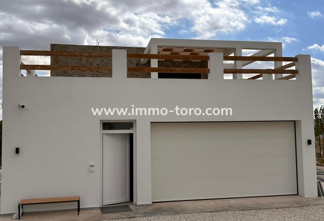 New Build - Villa - Pinoso - Casas Pastor