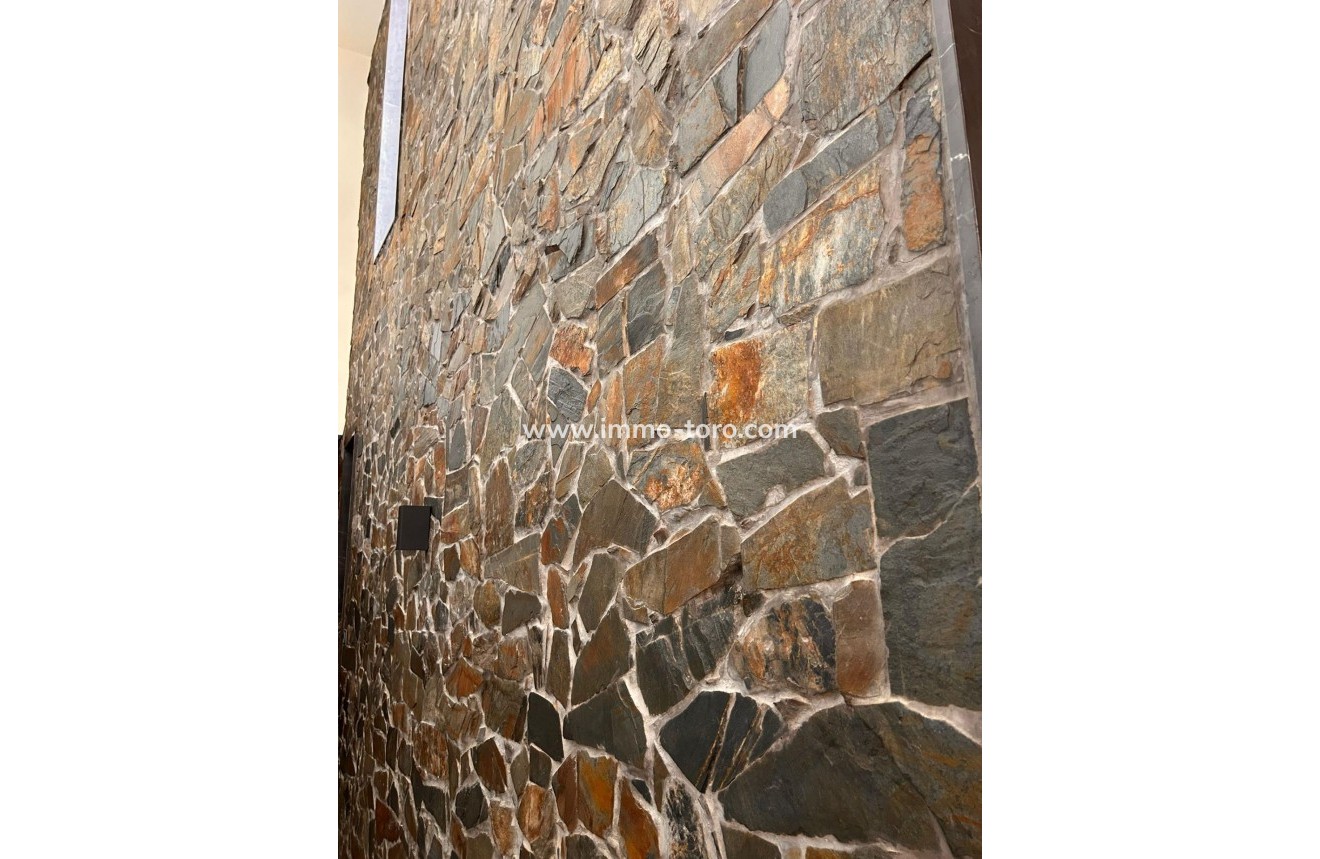 New Build - Villa - Pinoso - Casas Pastor