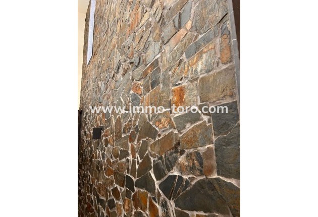 New Build - Villa - Pinoso - Casas Pastor