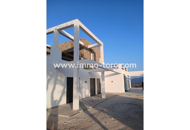 New Build - Villa - Pinoso - Casas Pastor