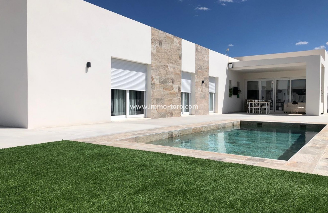 New Build - Villa - Aspe - urbanizaciones