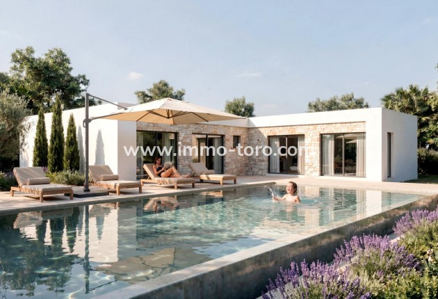 New Build - Villa - Pinoso - Casas Pastor