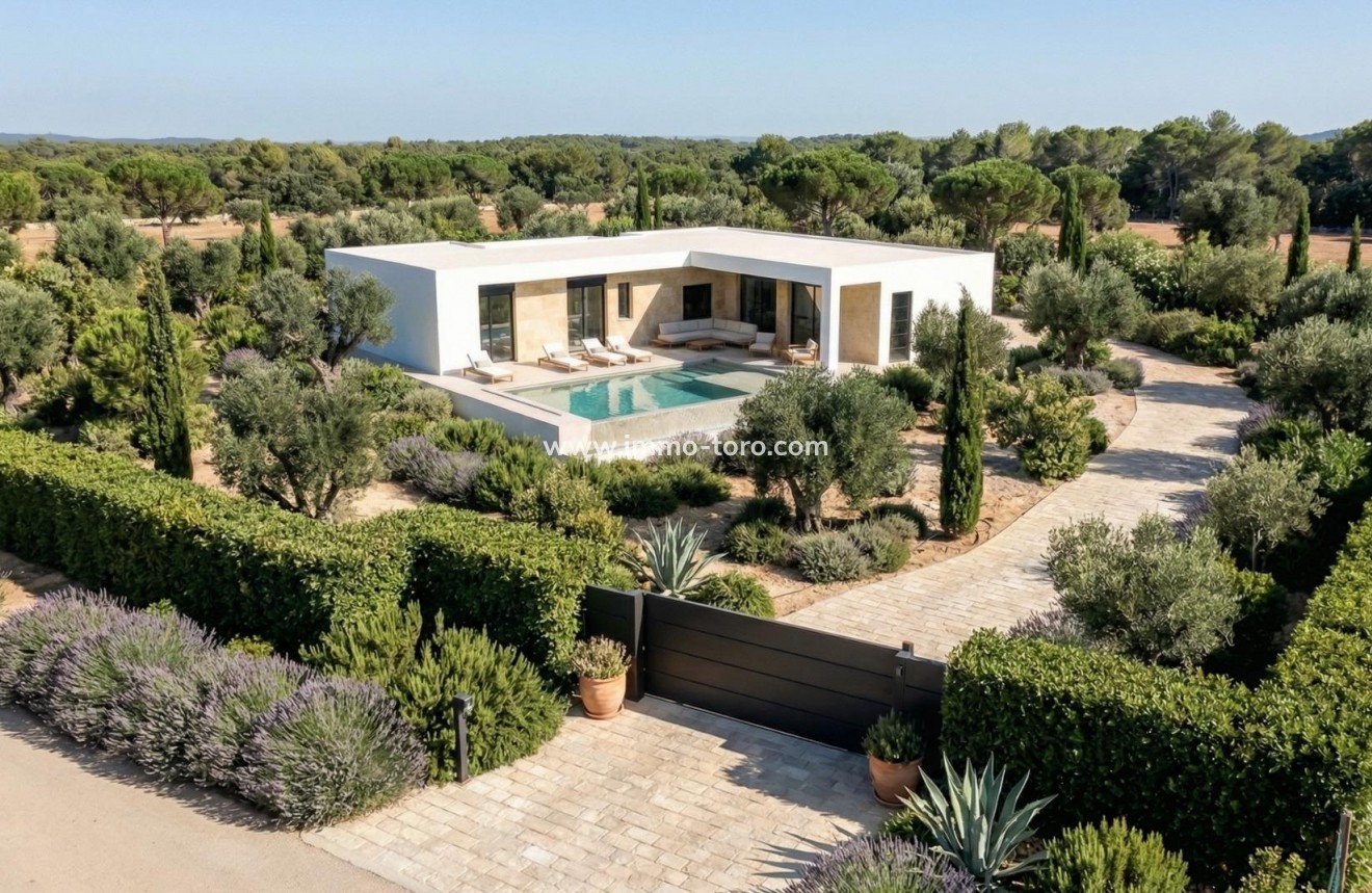 New Build - Villa - Pinoso - Casas Pastor
