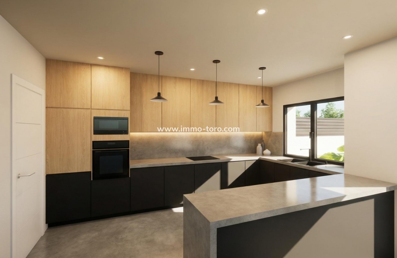 New Build - Villa - Pinoso - Casas Pastor