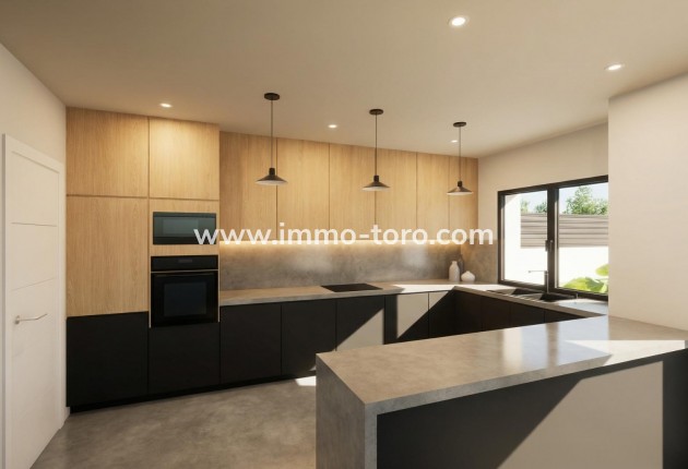 New Build - Villa - Pinoso - Casas Pastor