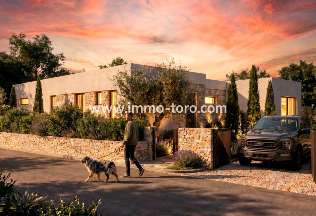 New Build - Villa - Pinoso - Casas Pastor