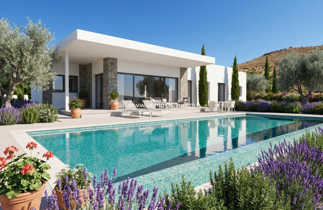New Build - Villa - Pinoso - Casas Pastor