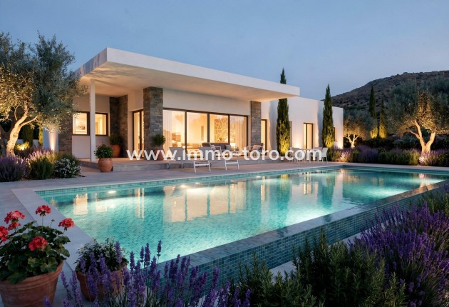 New Build - Villa - Pinoso - Casas Pastor
