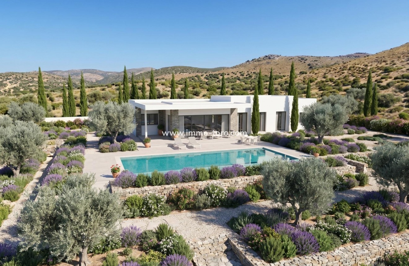 New Build - Villa - Pinoso - Casas Pastor