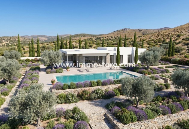 New Build - Villa - Pinoso - Casas Pastor