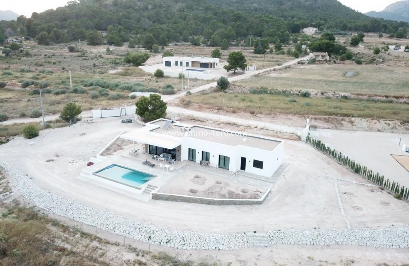 New Build - Villa - Pinoso - Casas Pastor