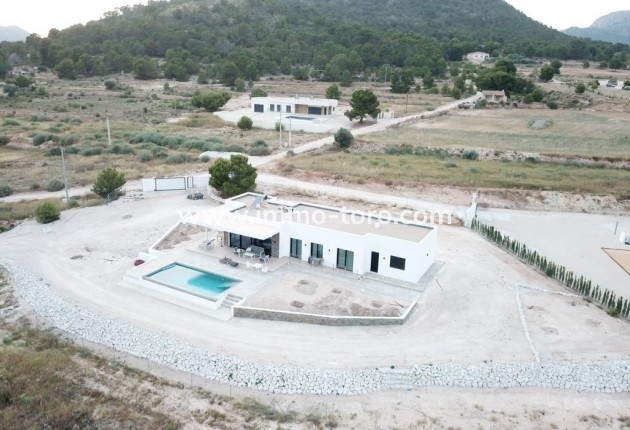 New Build - Villa - Pinoso - Casas Pastor