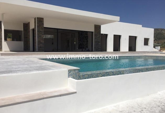 New Build - Villa - Pinoso - Casas Pastor