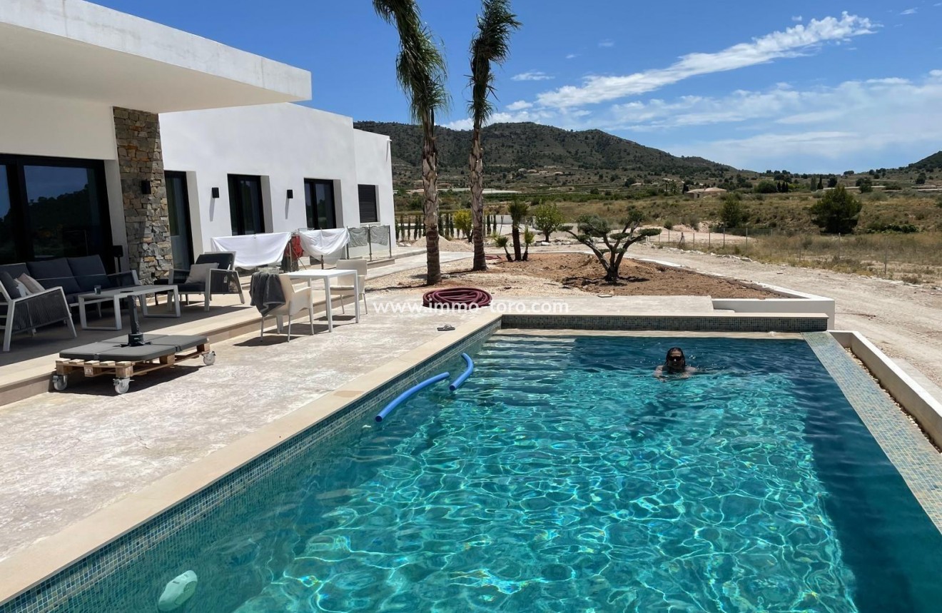 New Build - Villa - Pinoso - Casas Pastor