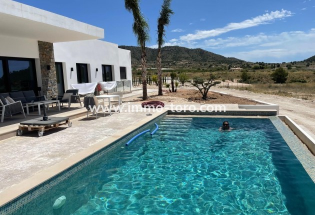 New Build - Villa - Pinoso - Casas Pastor