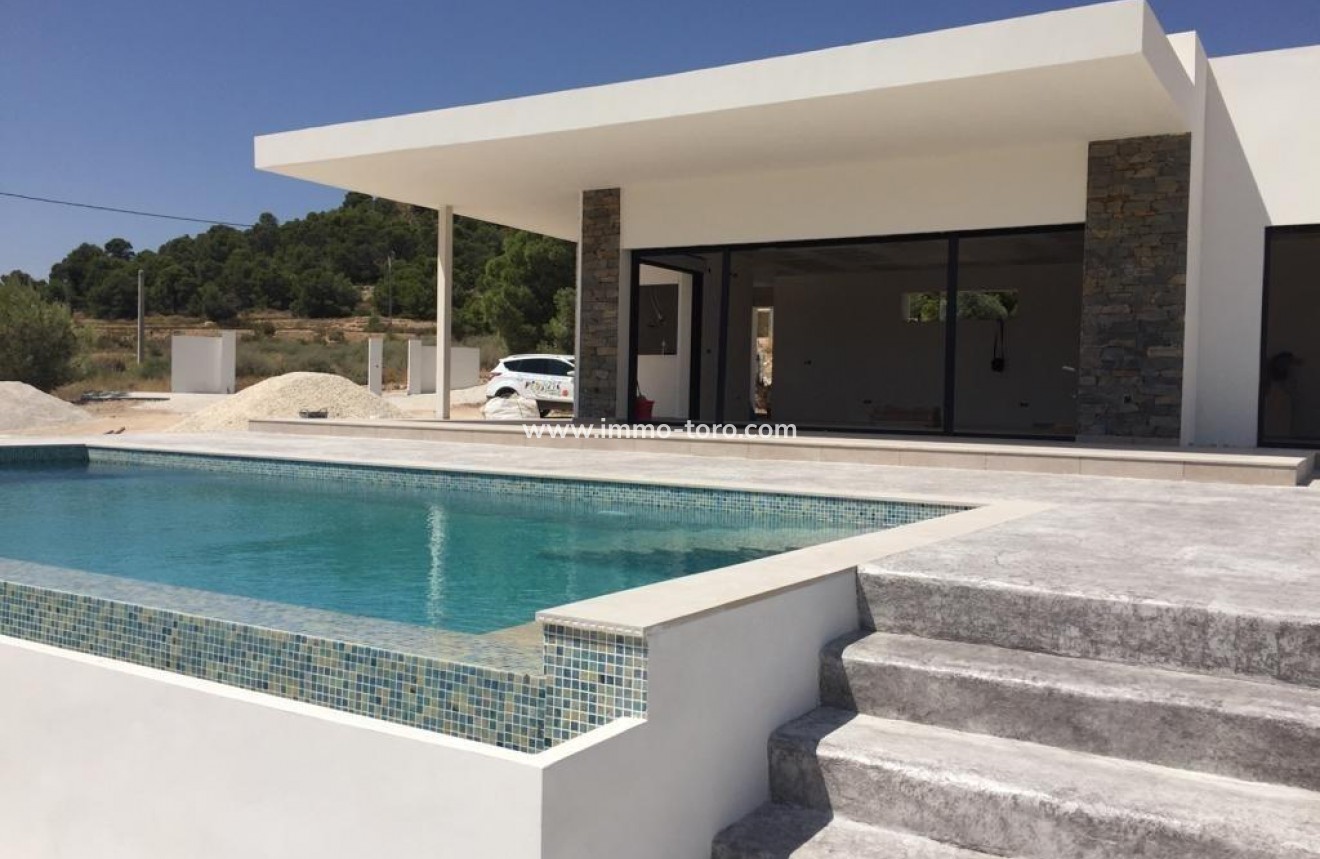 New Build - Villa - Pinoso - Casas Pastor