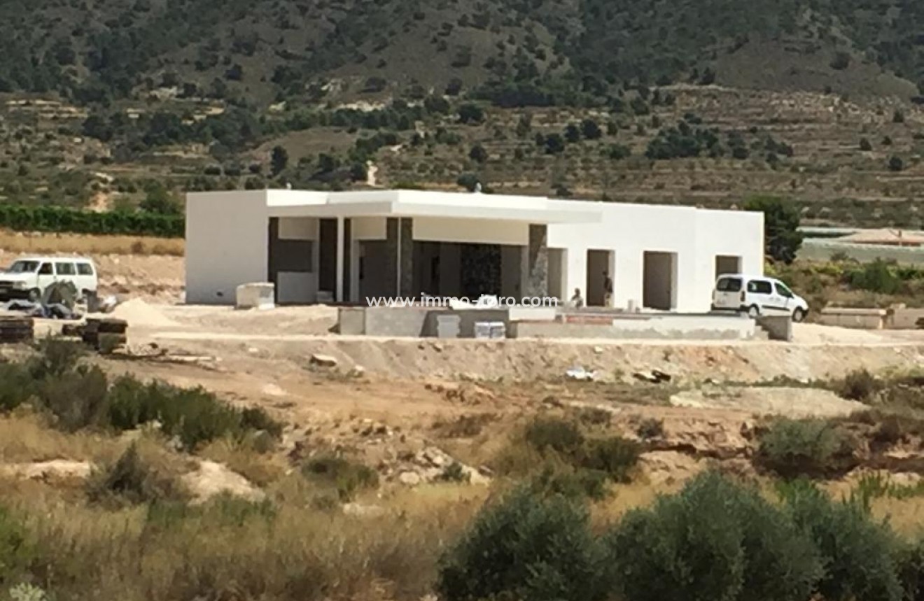 New Build - Villa - Pinoso - Casas Pastor