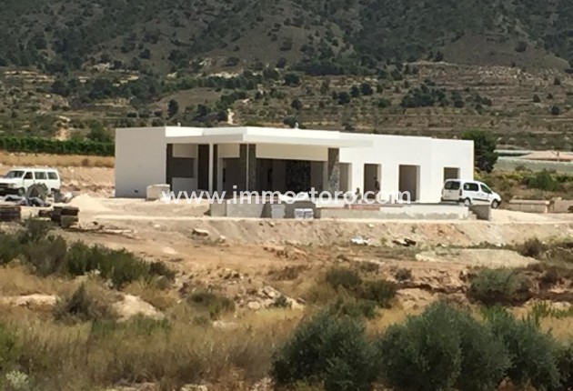 New Build - Villa - Pinoso - Casas Pastor