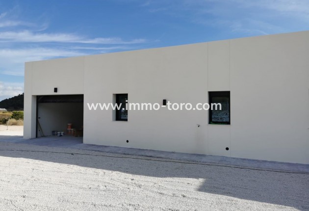 New Build - Villa - Pinoso - Casas Pastor