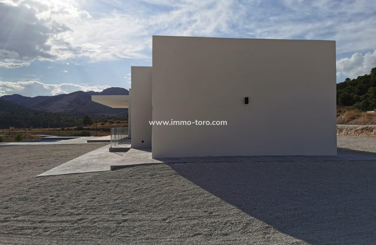 New Build - Villa - Pinoso - Casas Pastor